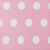 Polka Dot Cosmetic Case